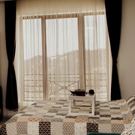 Milmari L29 Копаоник