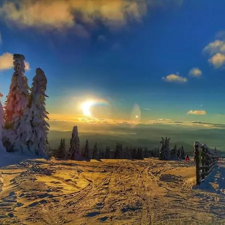 Milmari L29 Kopaonik