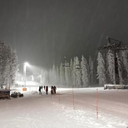 Milmari L29 Apartment Kopaonik