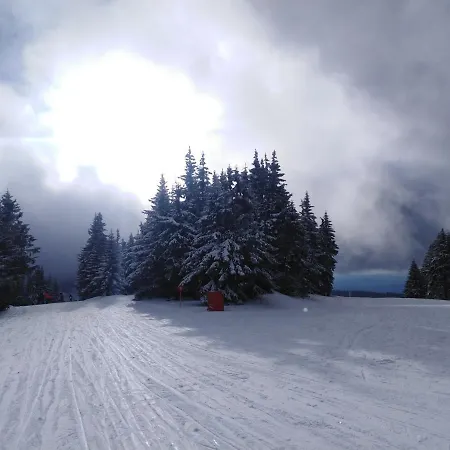 Apartament Milmari L29 *