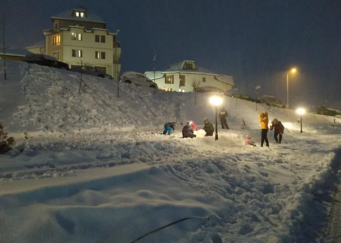 Milmari L29 Kopaonik