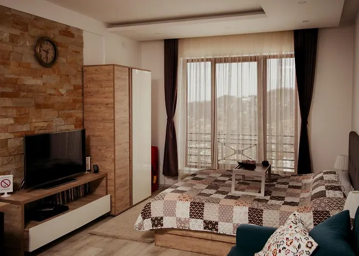 Milmari L29 Kopaonik