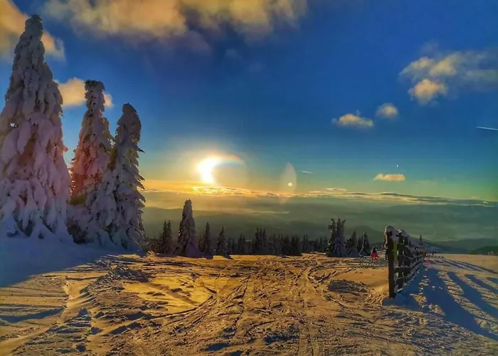 Milmari L29 Kopaonik