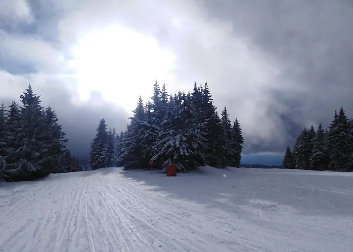 Apartament Milmari L29 *