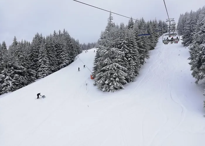 Apartament Milmari L29 *